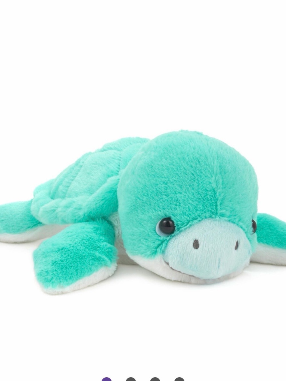 Hallmark Turquoise